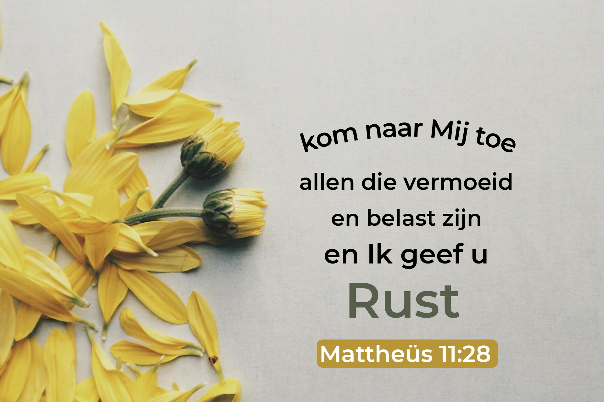 Picsart 25 04 02 10 00 49 179