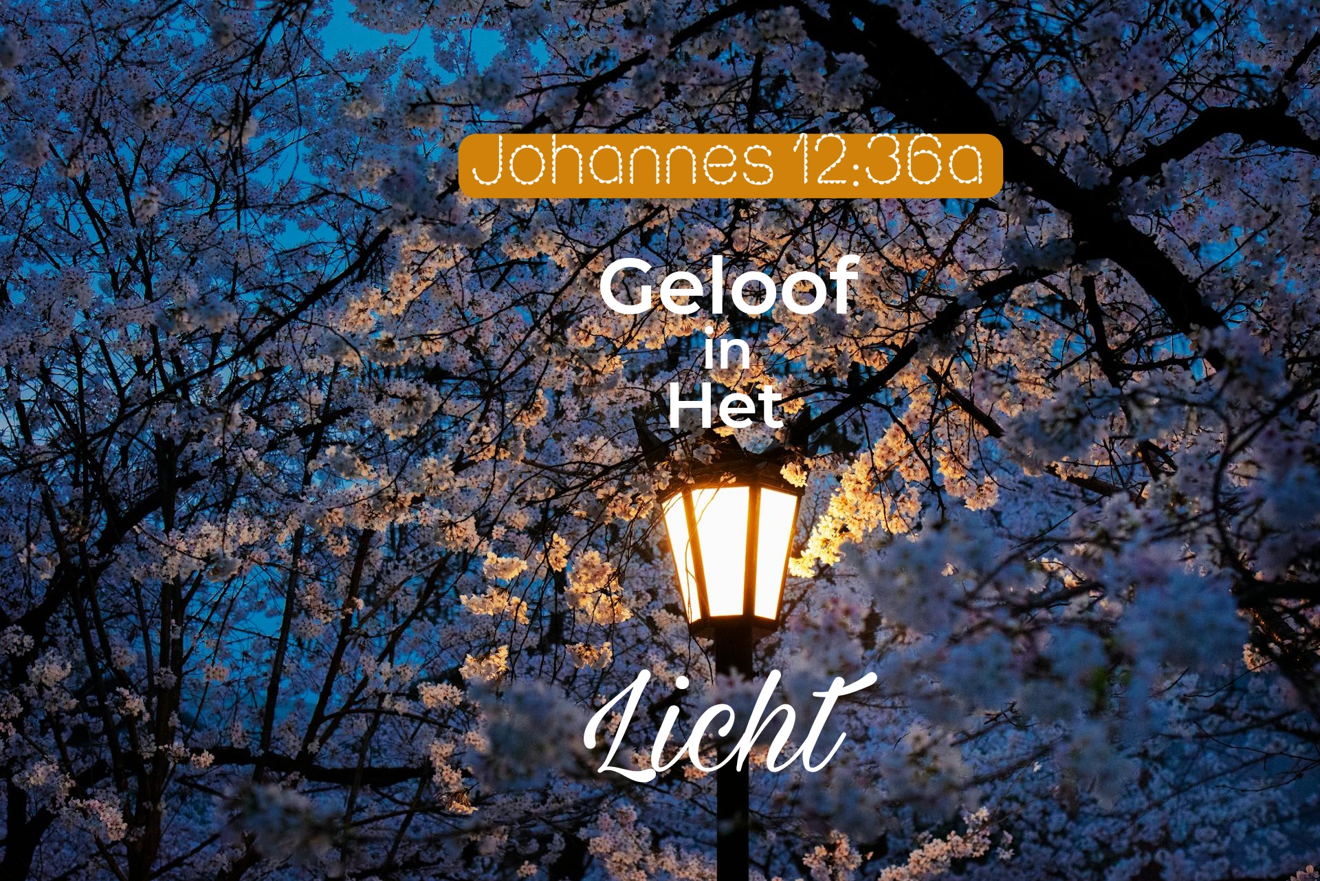 Picsart 25 04 06 22 07 33 645