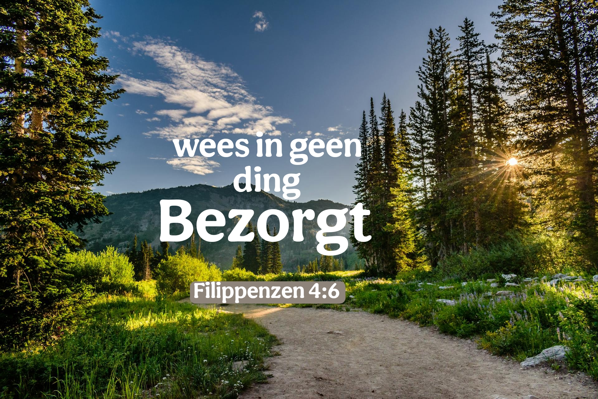 Picsart 25 05 13 18 34 25 871