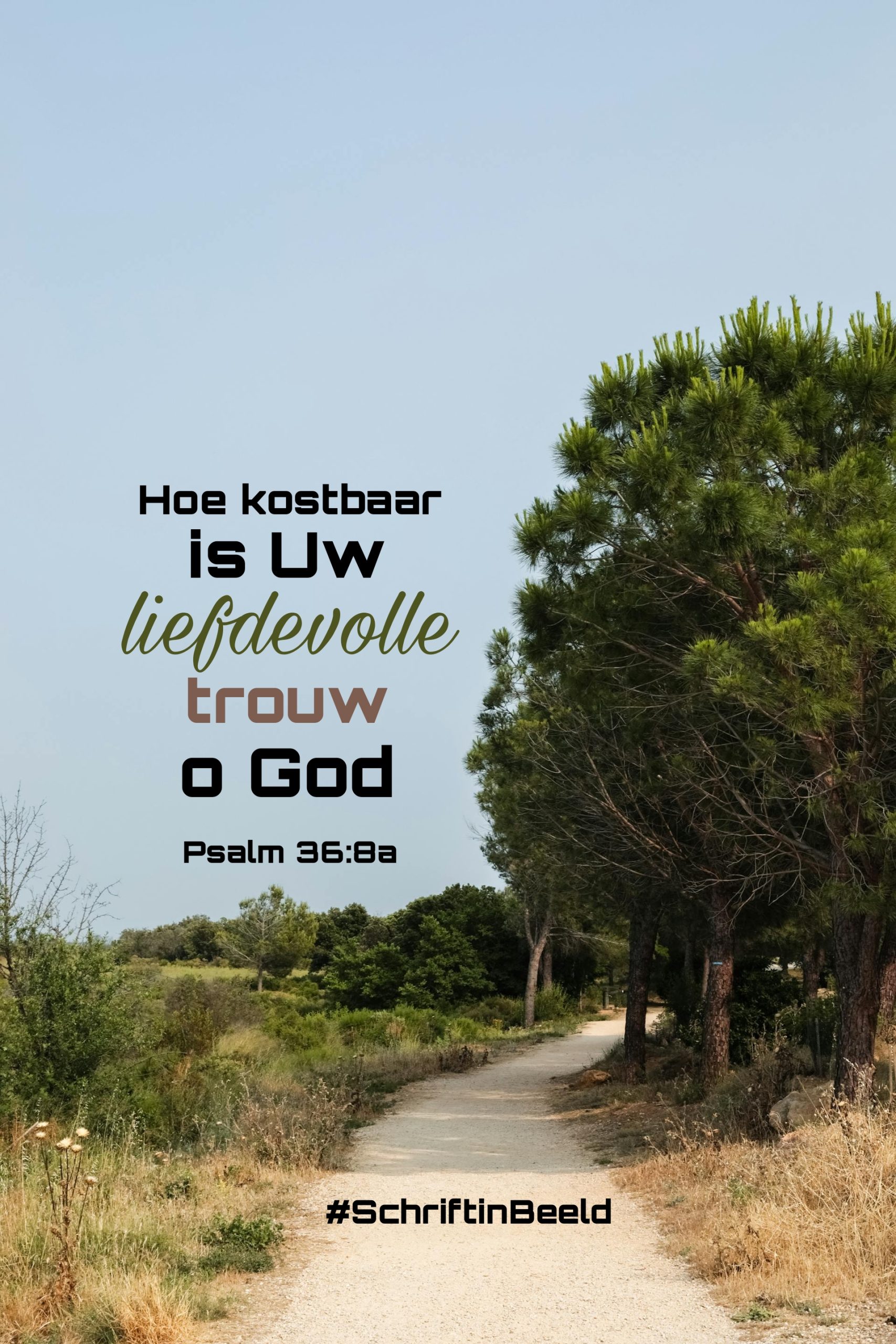 Picsart 25 06 12 21 33 10 300