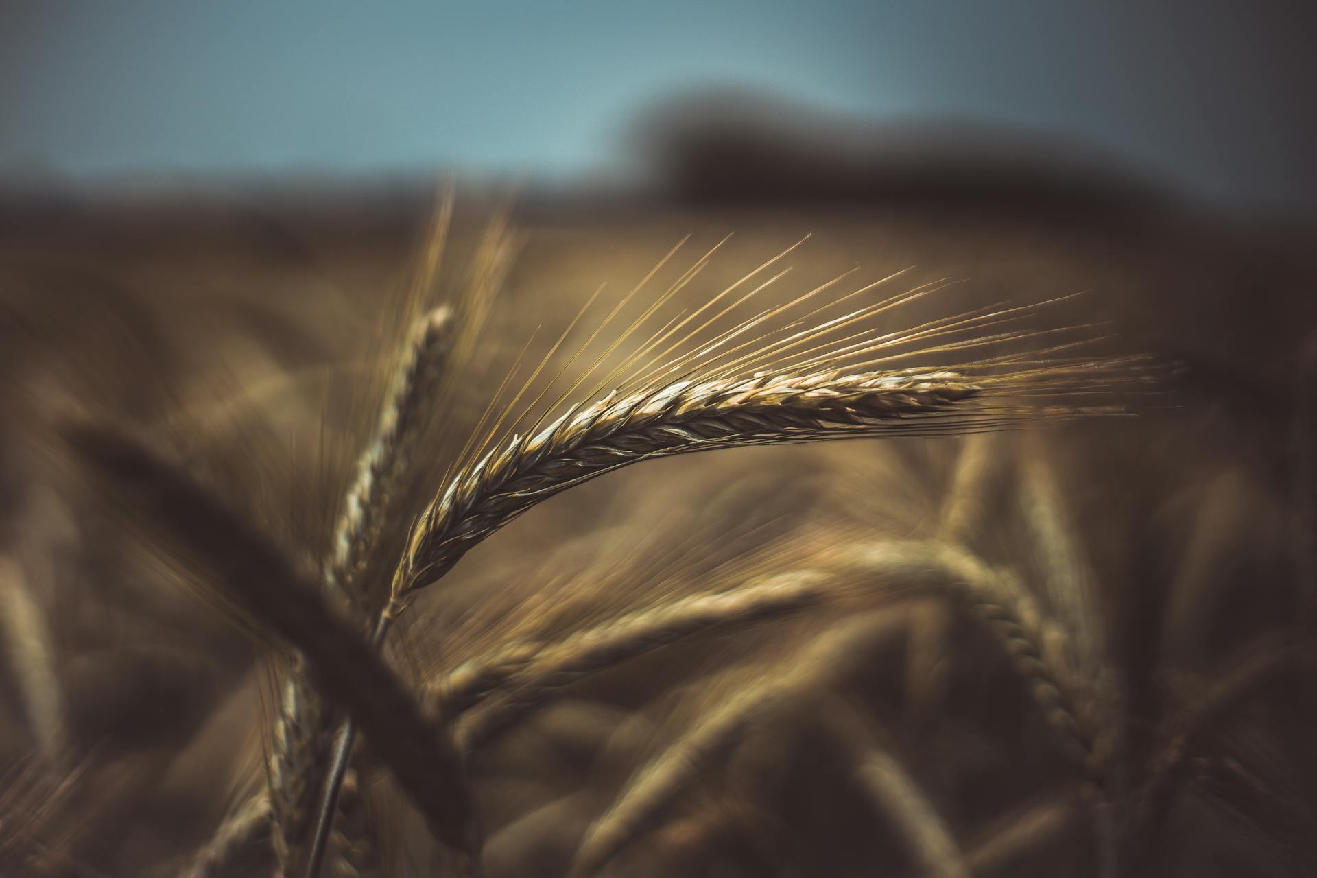 Pexels media 2506831